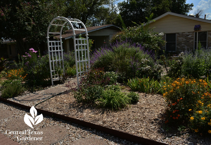 No lawn garden for wildlife austin texas