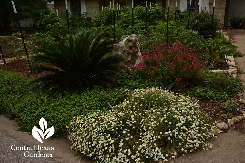 ten acre organics native plants for wildlife pollinators ten acre organics native plants for wildlife pollinators