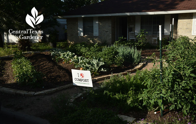 Ten Acre Organics front yard suburban food garden central texas gardener