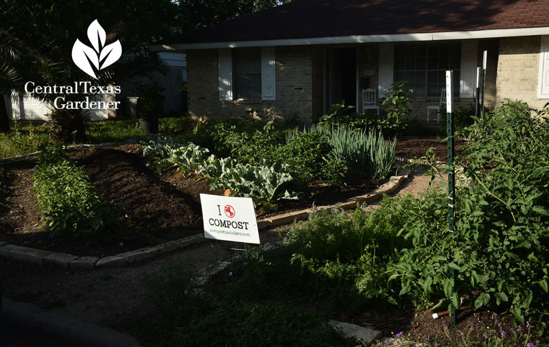 Ten Acre Organics front yard suburban food garden central texas gardener Ten Acre Organics front yard suburban food garden central texas gardener