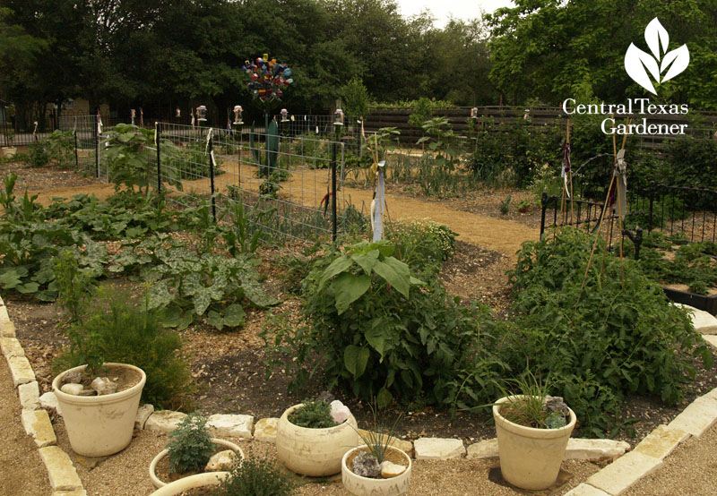artistic vegetable garden Hutto Central Texas Gardener