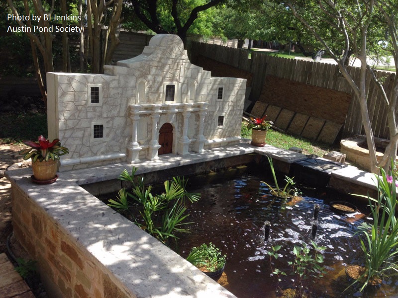 Alamo garden art pond design