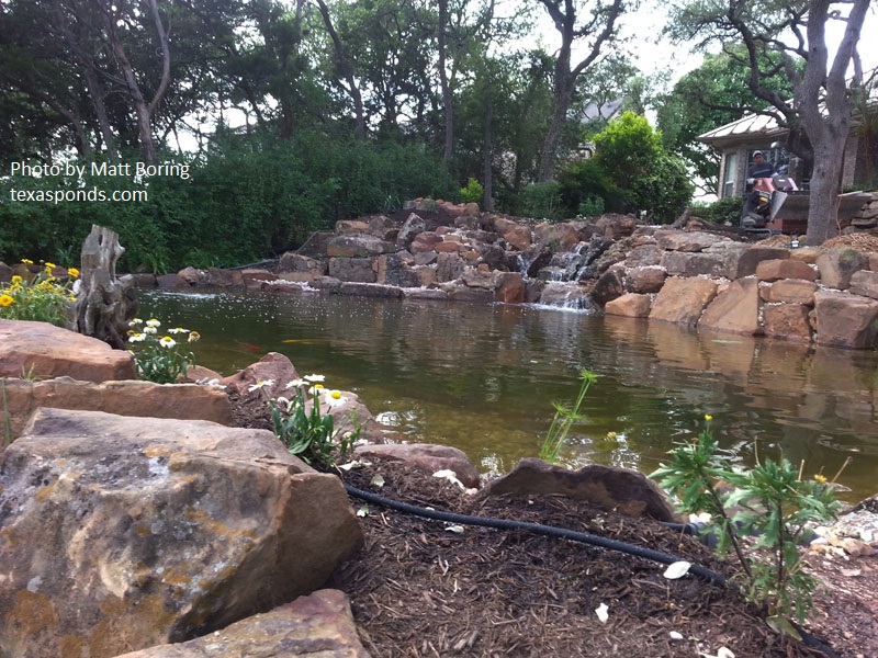 pond design by matt boring central texas Gardener