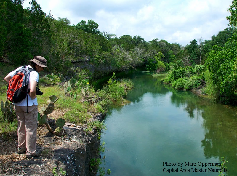 Marc Opperman Capital Area Master Naturalist Central Texas Gardener