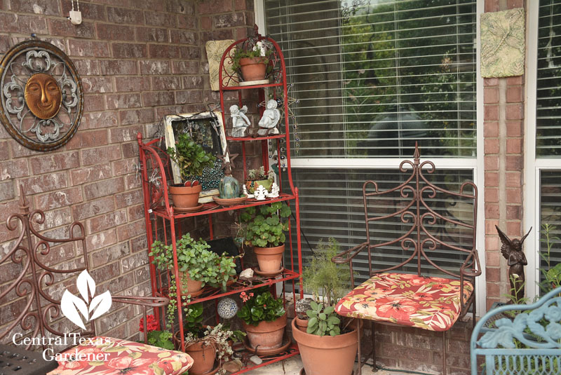 Colorful containers patio Central Texas Gardener 