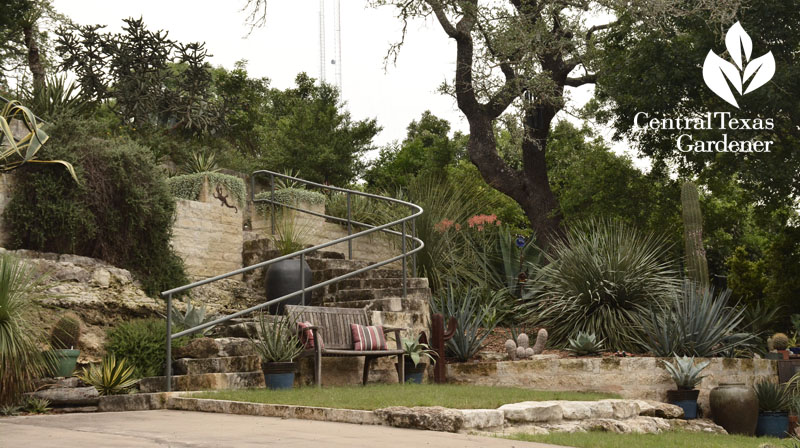 limestone staircase to upper patio Pavlat Central Texas Gardener