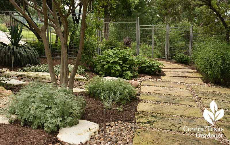 pathway stones connect to dry creek Central Texas Gardener