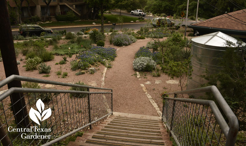 steps to Rollingwood City Hall Garden Central Texas Gardener