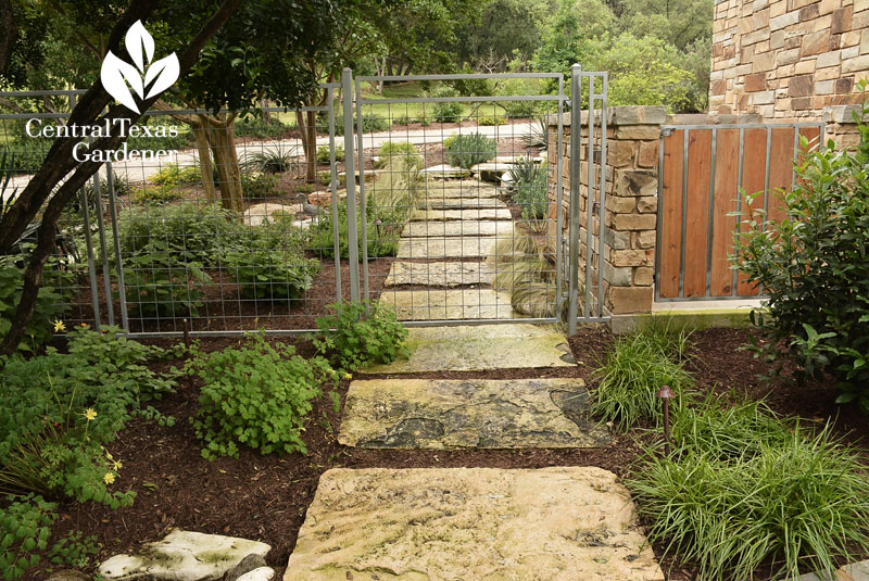 Walkway drainage control Central Texas Gardener