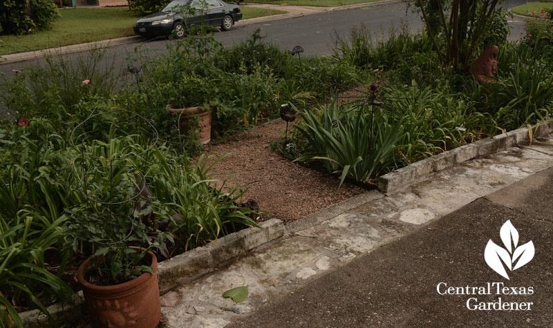 front yard garden path to perennials Central Texas Gardener