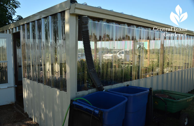 greenhouse recycle bins water collection Central Texas Gardener