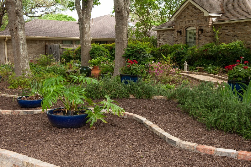 Front Yard Makeover No Grass Doris Reagan Central Texas Gardener