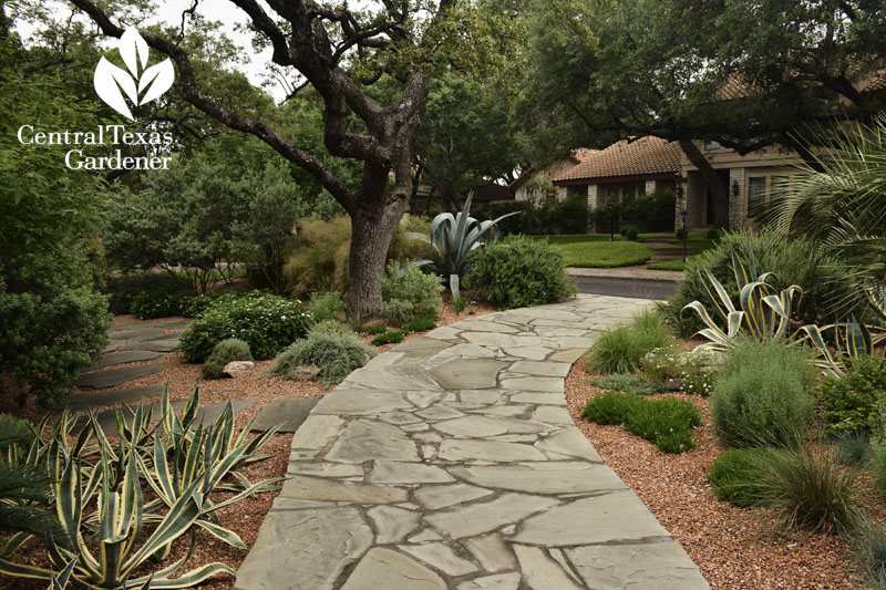 flagstone path to front garden Central Texas Gardener