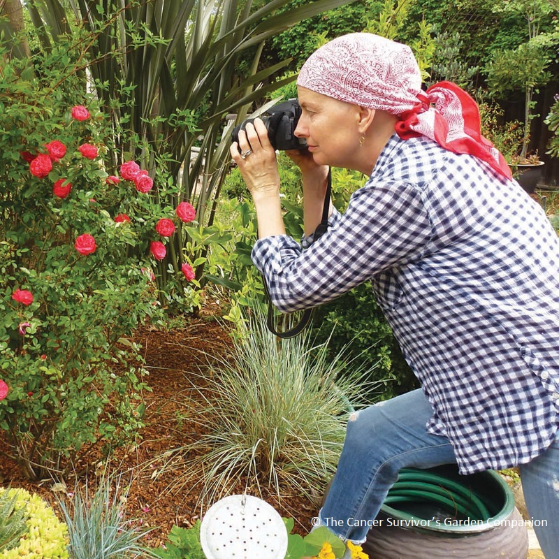 Rebecca Sweet Cancer Survivor's Garden Central Texas Gardener