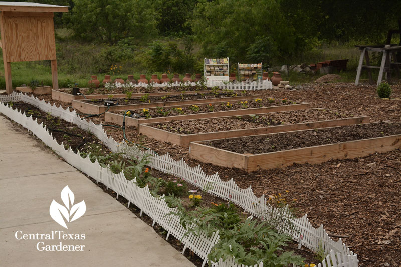 border vegetable gardens Sustainable Food Center Central Texas Gardener