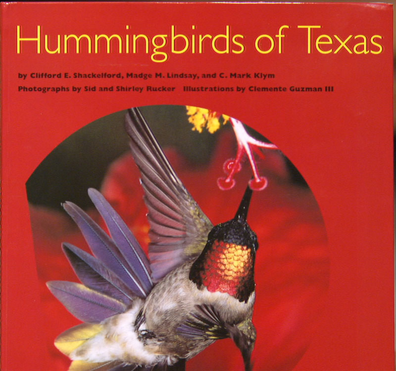 Hummingbirds of Texas Central Texas Gardener