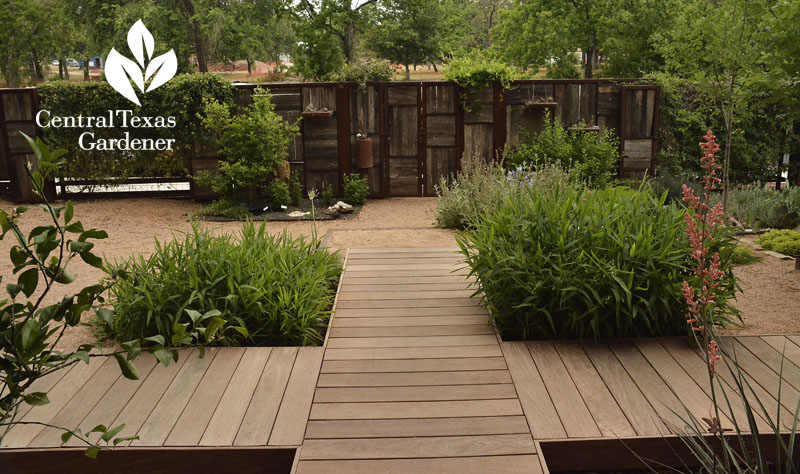 ipe path recycled fence no lawn courtyard Central Texas Gardener