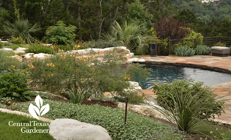 poolside gorgeous garden Central Texas Gardener