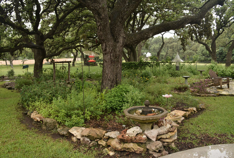 native habitat backyard Central Texas Gardener