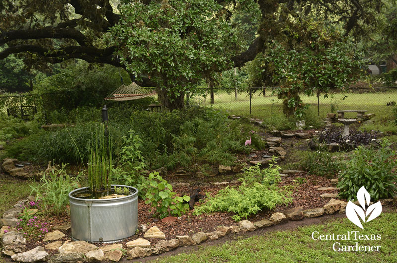 stock tank birdbath habitat backyard Central Texas Gardener