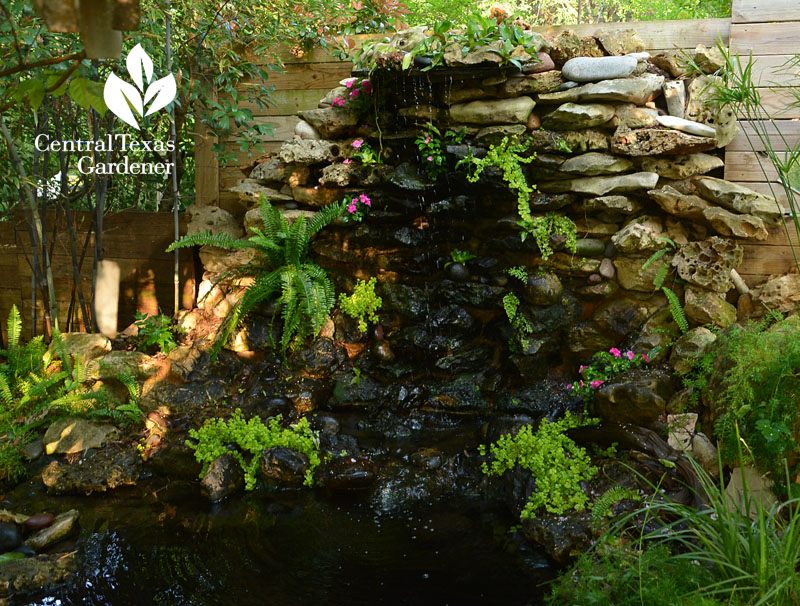 DIY backyard rock waterfall Central Texas Gardener