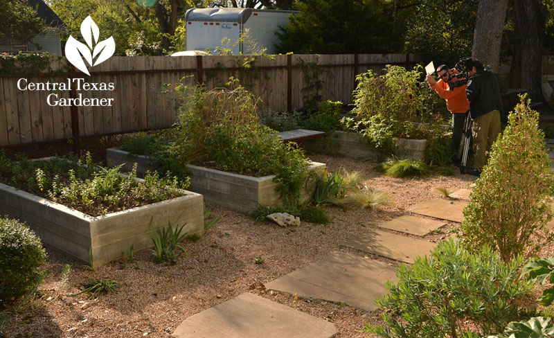 concrete raised beds pathway Central Texas Gardener