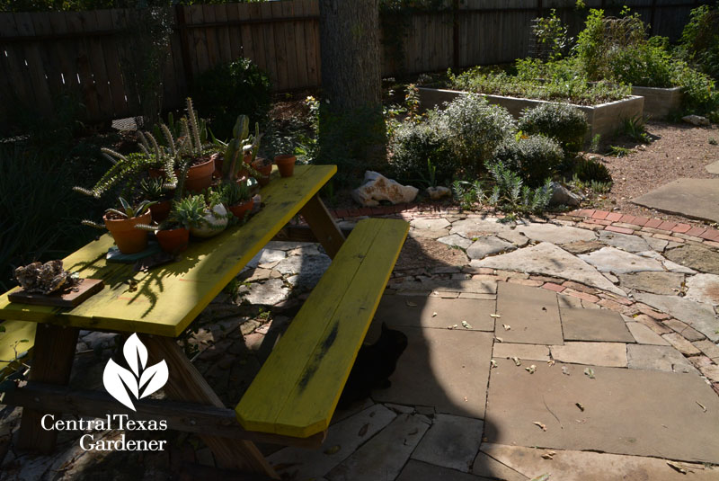 patio mixed stone to concrete raised beds Central Texas Gardener