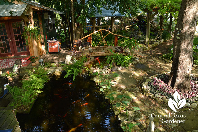 Backyard pond and cedar bridge Central Texas Gardener