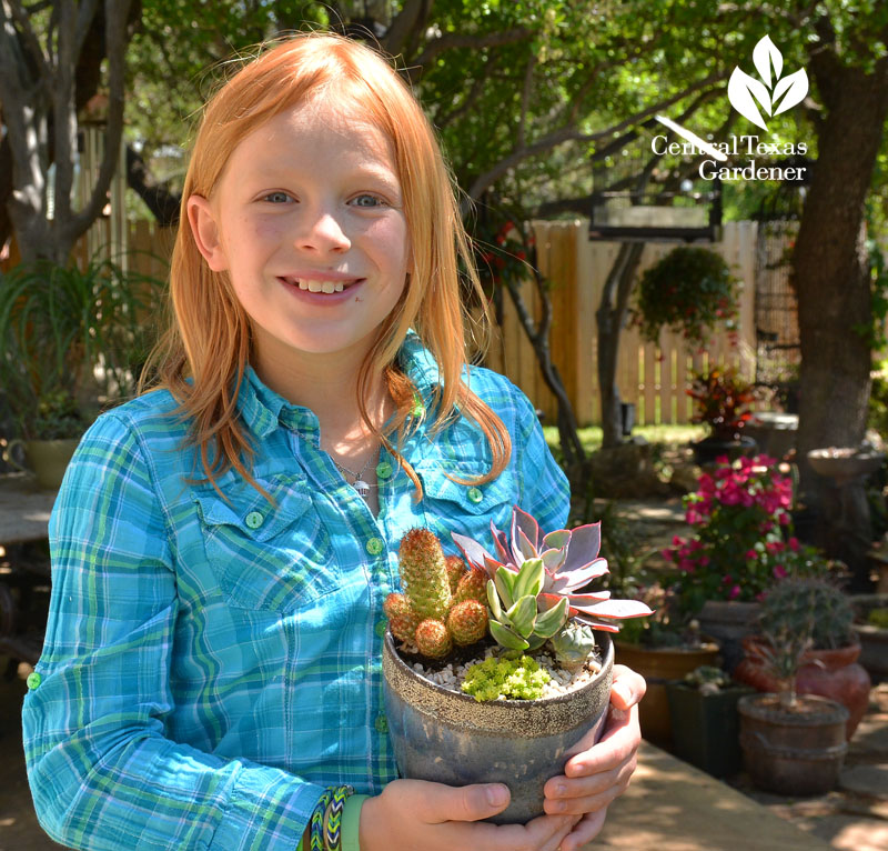 child succulent designer Central Texas Gardener