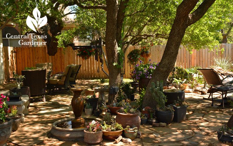 lovely flagstone patio, containers, pond Central Texas Gardener