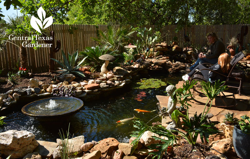 no lawn backyard pond and patio Central Texas Gardener