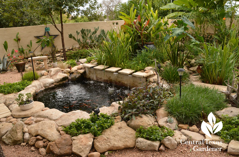 backyard courtyard pond and patio Central Texas Gardener