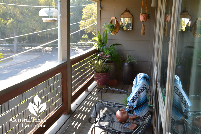 mirrors and containers balcony garden design austin Central Texas Gardener