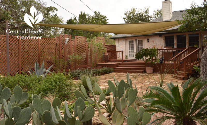 trellis fence screen shade sail patio cover Central Texas Gardener