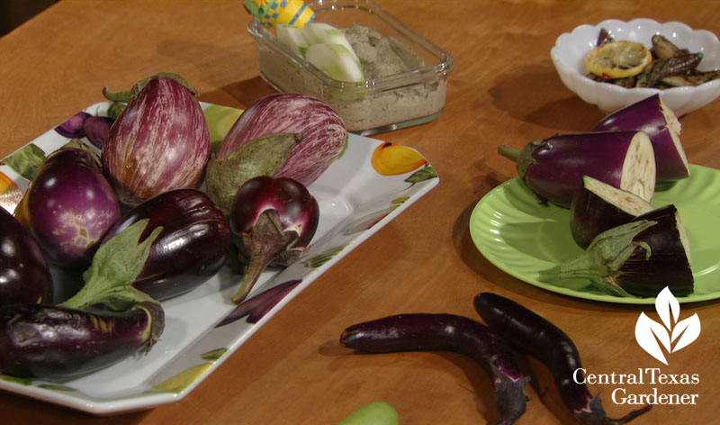 Eggplants and recipes Central Texas Gardener