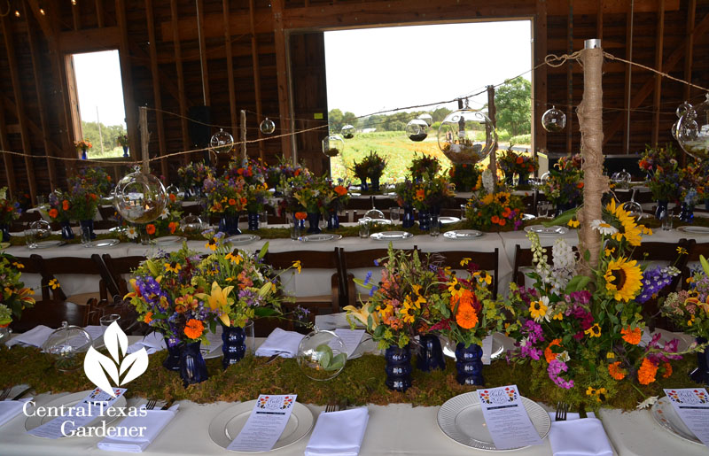Field to Vase Blanco dinner tour table decorations Central Texas Gardener