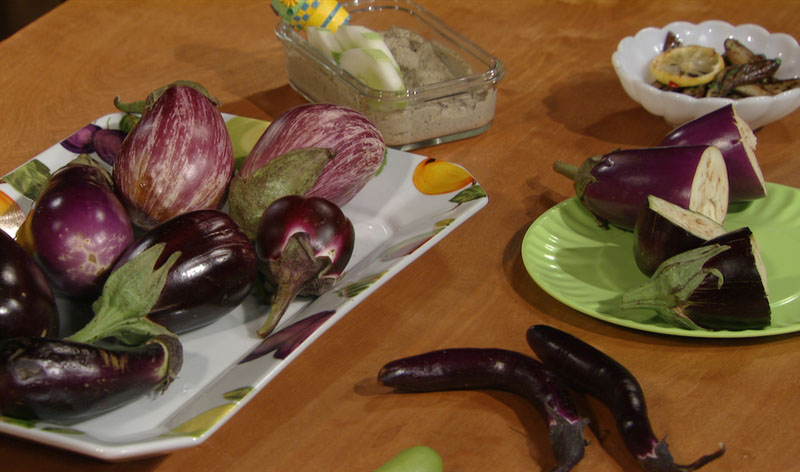 eggplants and recipes