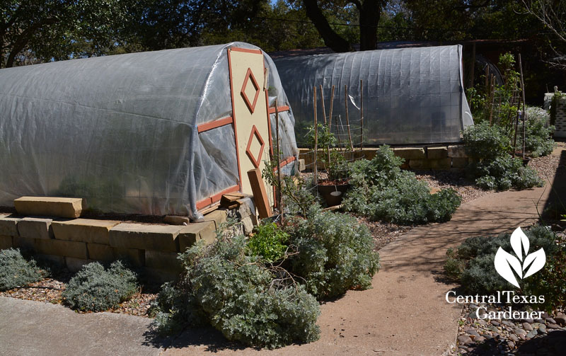 quonset hut homemade greenhouses winter cover Central Texas Gardener