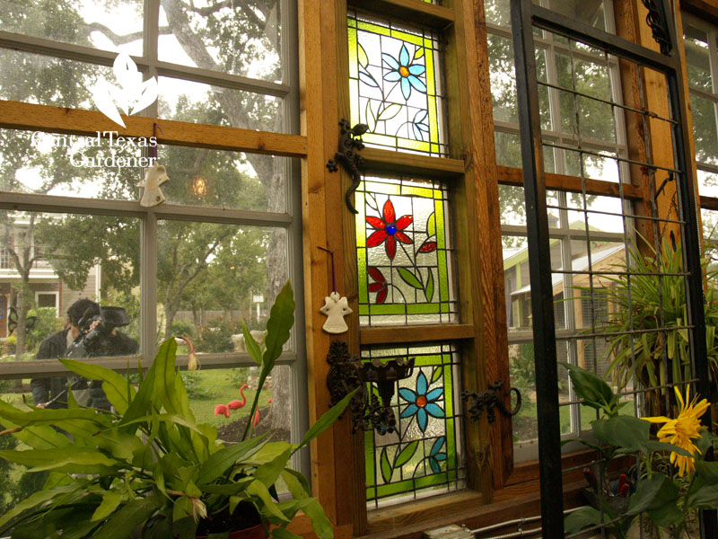 floral stained glass in greenhouse Central Texas Gardener