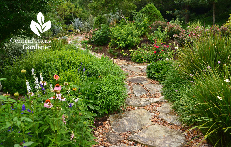 flagstone path perennial borders to succulent garden Central Texas Gardener