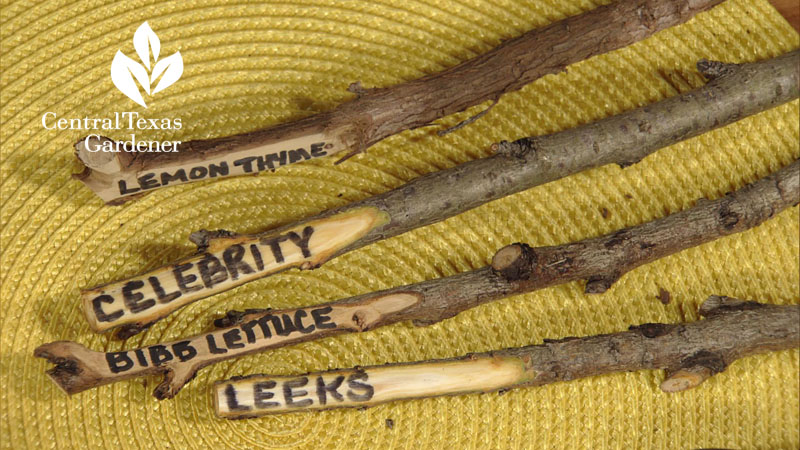 homemade twig plant tags Central Texas Gardener