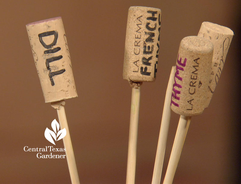 wine cork and skewer plant tags Central Texas Gardener