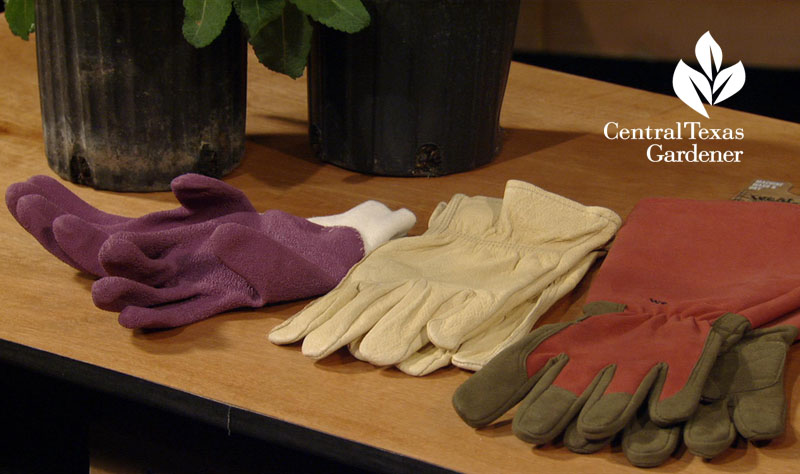 gloves for gardeners Central Texas Gardener
