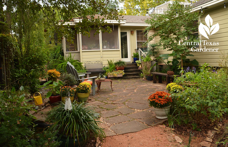 flagstone patio privacy cove near house Central Texas Gardener