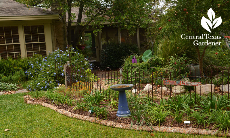 old iron fence cute garden room surround Central Texas Gardener