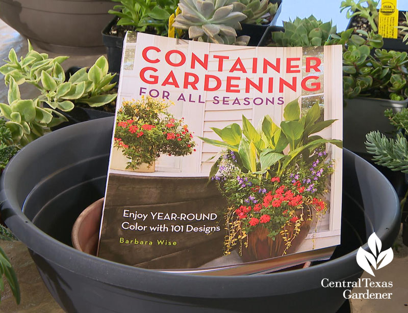 Container Gardening for All Seasons Central Texas Gardener