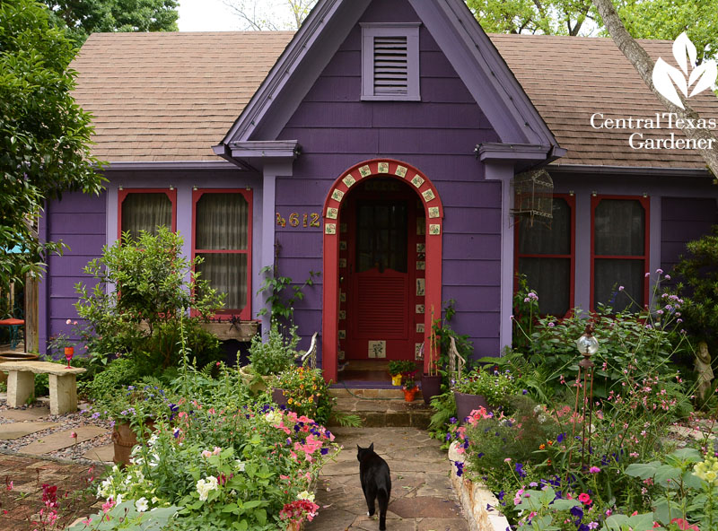 Lucinda Hutson's purple cottage front yard garden Central Texas Gardener