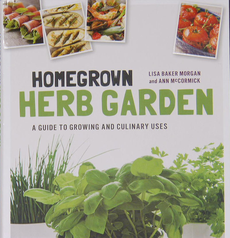 Homegrown Herb Garden Ann McCormick Central Texas Gardener