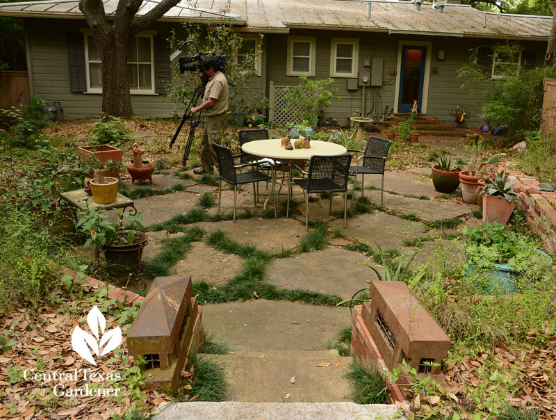 flagstone patio bordered with native plants Central Texas Gardener