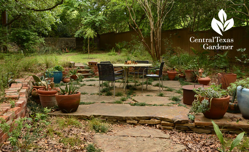flagstone patio brick raised bed native plants Central Texas Gardener